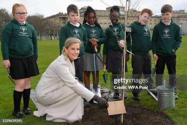 Sophie, Countess of Wessex smiles next to a tree plaque as she joins year four schoolchildren from Grange Park Primary School in Shropshire for the...