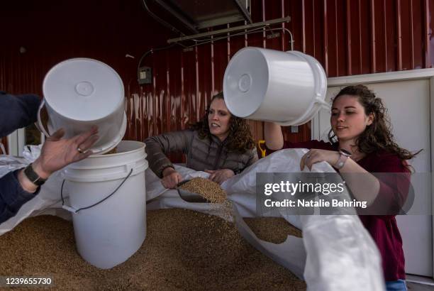 Kaylin Garrett and Allie Eidam scoop wheat into buckets March 31, 2022 in Sugar City, Idaho. Local business, the Food Dudes held a sale of wheat...