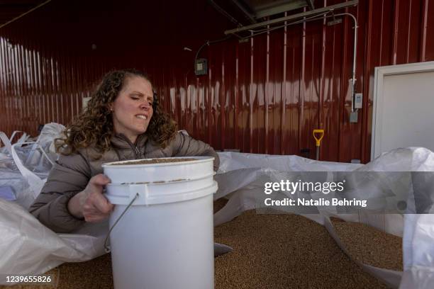 Kaylin Garrett strains to lift a 40 pound bucket of wheat March 31, 2022 in Sugar City, Idaho. Local business, the Food Dudes held a sale of wheat...