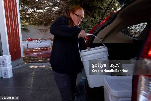 Katelyn Lyle lifts a heavy bucket of wheat into her minivan March 31, 2022 in Sugar City, Idaho. Local business, the Food Dudes, held a sale of wheat...