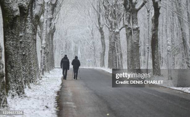 579 Denis Forest Photos High Res Pictures Getty Images 579-denis-forest-photos-high-res-pictures-getty-images