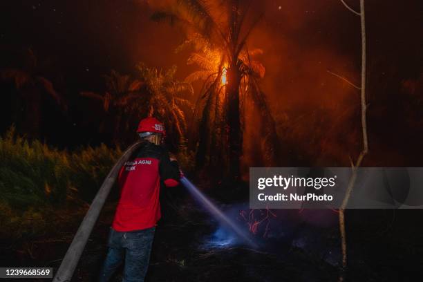 Firefighters Forestry Ministry try to extinguish a burning peatland fires at Tanjung Kudu Villagge in Kampar,Riau Province, Indonesia, on April 1,...