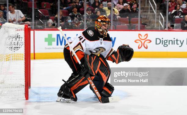 Goaltender Anthony Stolarz of the Anaheim Ducks gets ready to make a save against the Arizona Coyotes during the second period at Gila River Arena on...