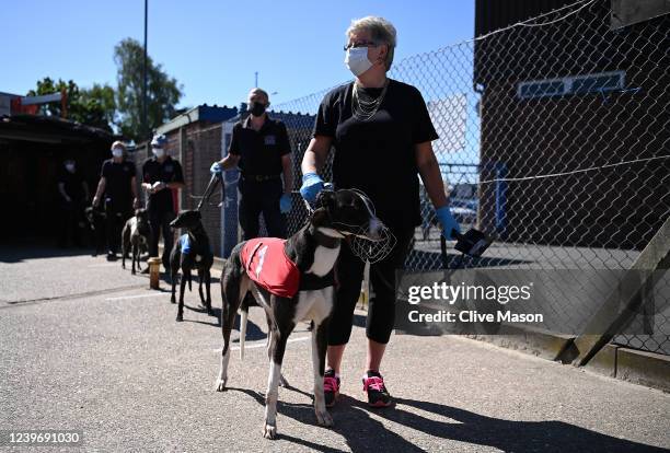 Owners and handlers wear PPE as greyhound racing resumes on June 01, 2020 in Perry Barr, England. Greyhound racing across England is returning as...