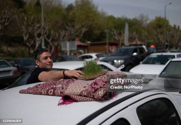 An Iranian man picks up a green grass which is a main symbol of Nowruz, at a car parking near a park in northern Tehran during the day of Sizdah...