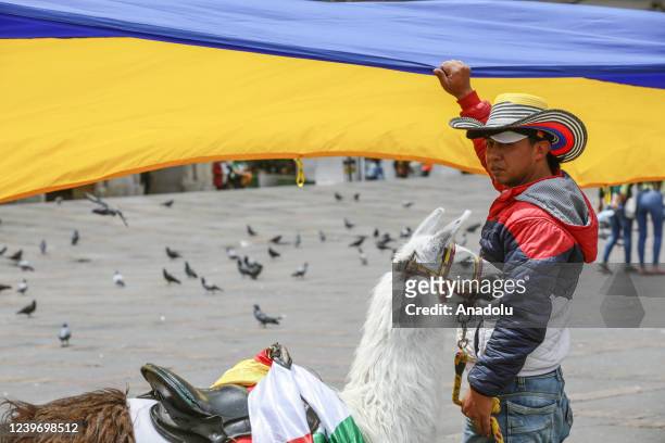 Man holds a Ukraine flag next The llama is a domesticated South American camelid, in the Colombian capital gather at the Bolivar Square, during a...