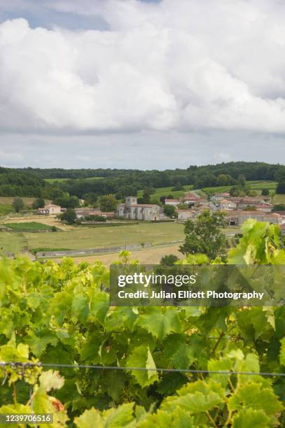 the village of saint preuil in cognac - charente foto e immagini stock