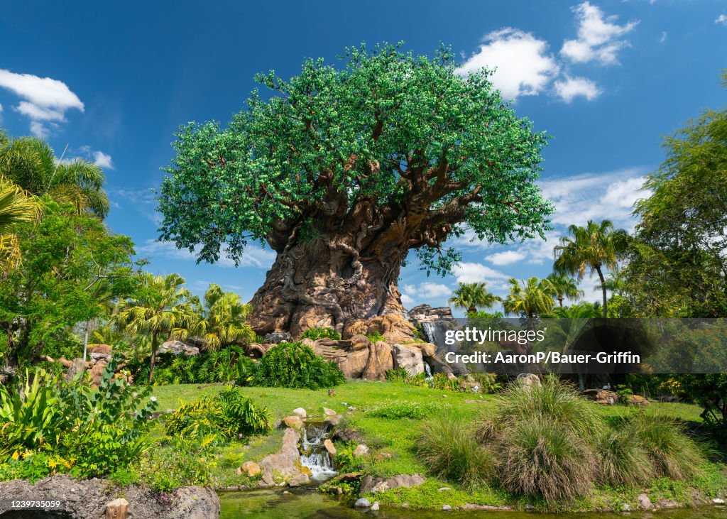 Orlando Exteriors And Landmarks - 2022