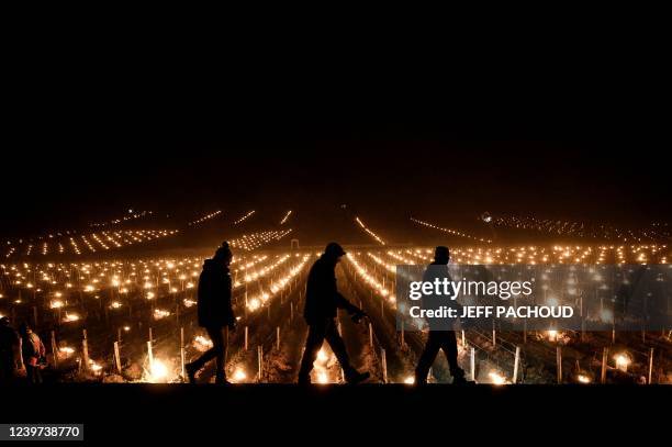 Winegrowers walk after lighting candles in the vineyards to protect them from frost on April 4, 2022 around Puligny-Montrachet.