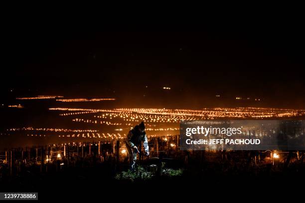 Winegrowers light candles in the vineyards to protect them from frost on April 4, 2022 around Puligny-Montrachet.