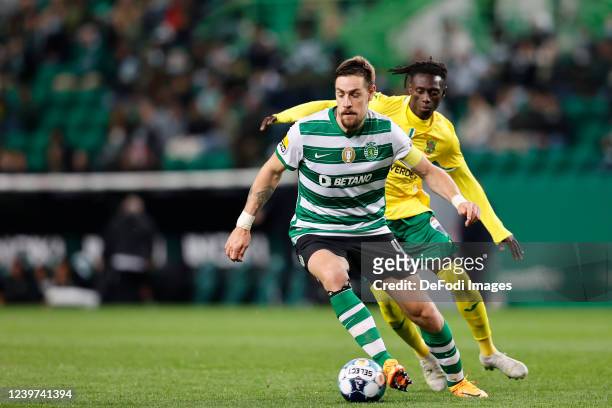 Sebastian Coates of Sporting CP, Matchoi Djalo of FC Pacos de Ferreira battle for the ball during the Liga Portugal Bwin match between Sporting CP...