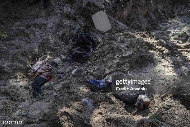 Partially covered bodies of village head Olga Sukhenko and members of her family found after they were buried in a shallow grave in woodland area as...