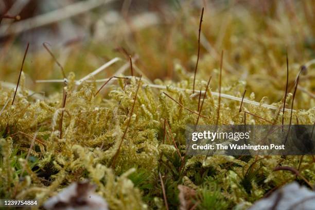 Friable Soil Photos and Premium High Res Pictures Getty Images Friable Soil Photos and Premium High Res Pictures Getty Images