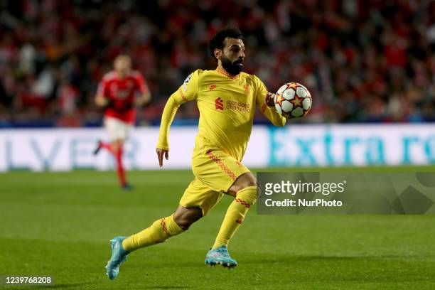 Mohamed Salah of Liverpool FC in action during the UEFA Champions League Quarter Final Leg One football match between SL Benfica and Liverpool FC at...