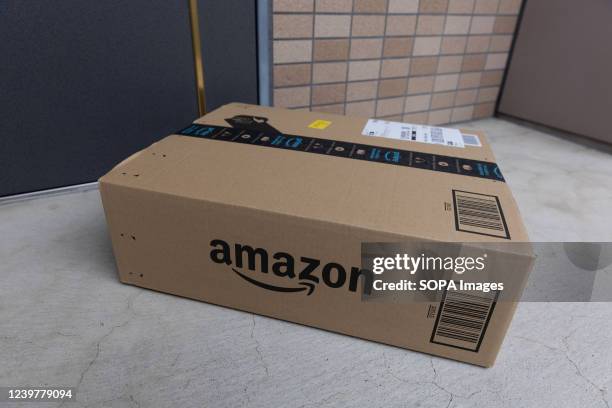 Amazon delivery package seen in front of a door.