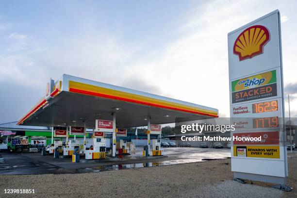 Shellbill Shell Global Photos and Premium High Res Pictures - Getty Images