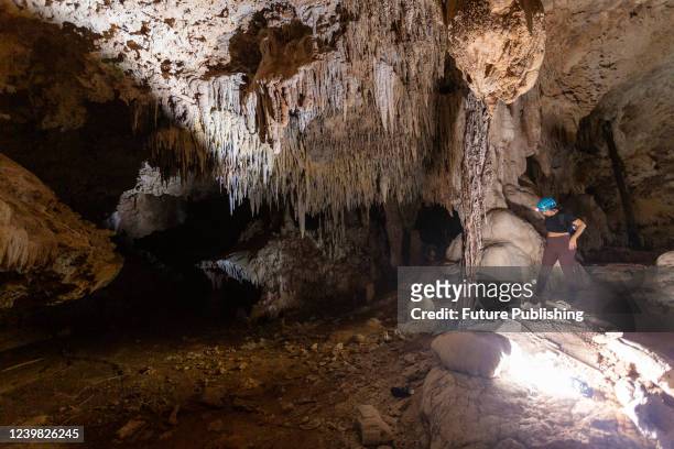 The cave system called Garra de Jaguar is located in the municipality of Solidaridad, 20km from Playa del Carmen, in the state of Quintana Roo,...