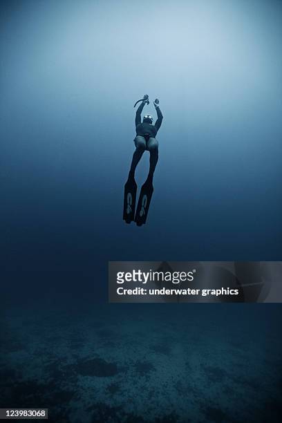 freediving - free diving stock pictures, royalty-free photos & images