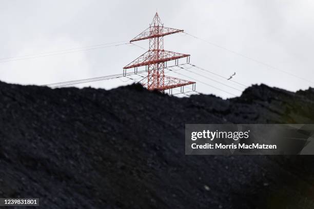 Coal imported from abroad lies at Hamburg Port after unloading from ships on April 8, 2022 in Hamburg, Germany. Germany is supporting the European...