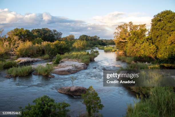 General view from Kruger National Park, one of the continent's largest natural habitats with an area of ââ19.485 square kilometers, in Skukuza of the...