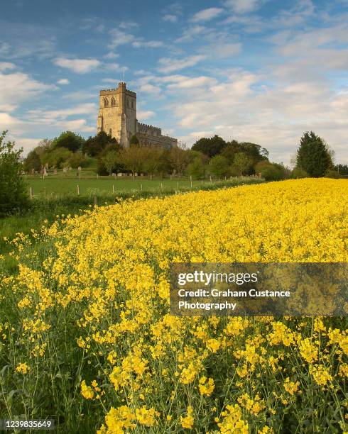 english countryside - buckinghamshire bildbanksfoton och bilder