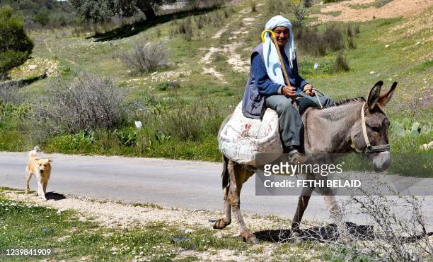 Tunisian Bedouin man rides his donkey near the Sidi Salem dam in the northern Tunisian area of Testour, in the Beja province, on April 8, 2022.