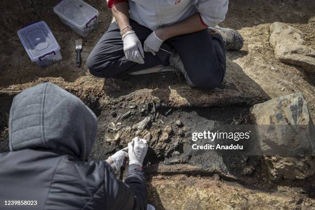 Tile tomb, belonging to Hellenistic era BC 3th century is found during ongoing excavations at historical Haydarpasa train station and its...