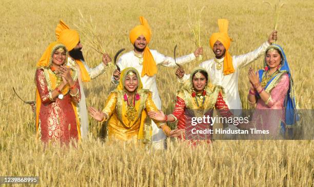 Students of Khalsa college perform traditional Punjabi folk dance "Bhangra" at a wheat field ahead of Baisakhi festival, on April 9, 2022 in...