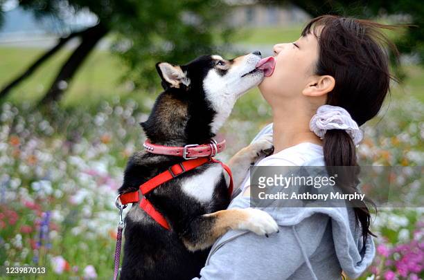dog kissing his owner - women licking women stock pictures, royalty-free photos & images