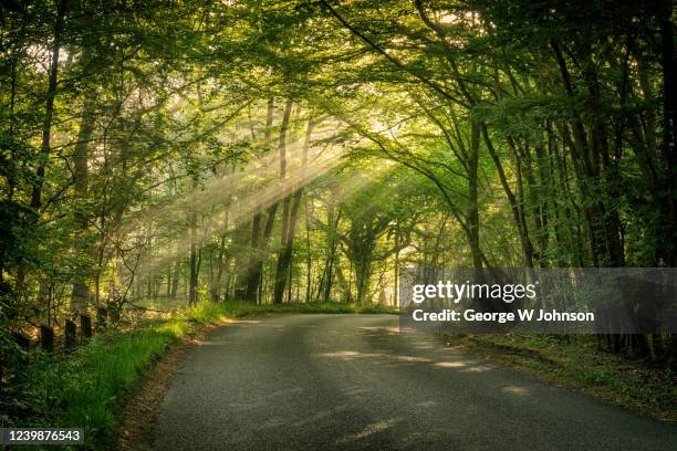 beams - hertford hertfordshire fotografías e imágenes de stock