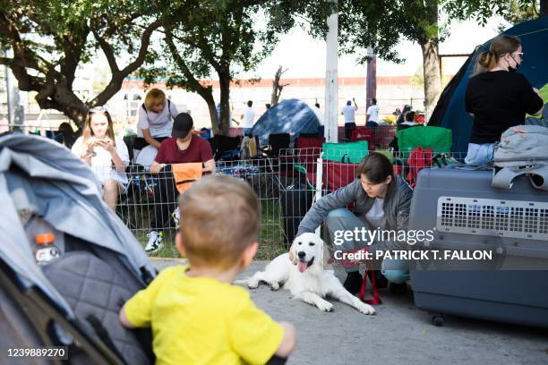 Deporting Dogs 63 Us Shuttle Dog Stock Photos, High-Res Pictures, and Images - Getty ...