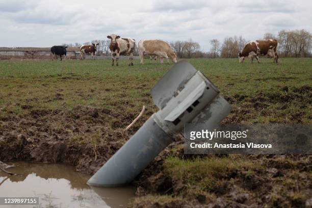 Rocket sits in a field near grazing cows on April 10, 2022 in Lukashivka village, Ukraine. The Russian retreat from Ukrainian towns and cities has...