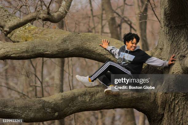 Brookline, MA On a spring day when temperatures rose above 60 degrees, Cianna Gonzalez took advantage of the pleasant weather to climb a tree in...