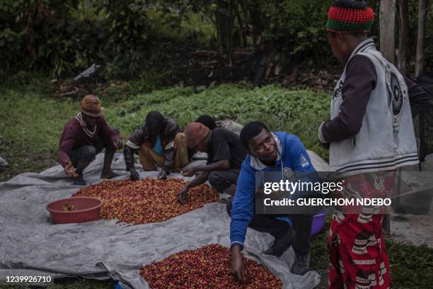 Rebuild women's hope association worker discusses the price of red coffee beans with a woman at the Hala washing station on the island of Idjwi in...