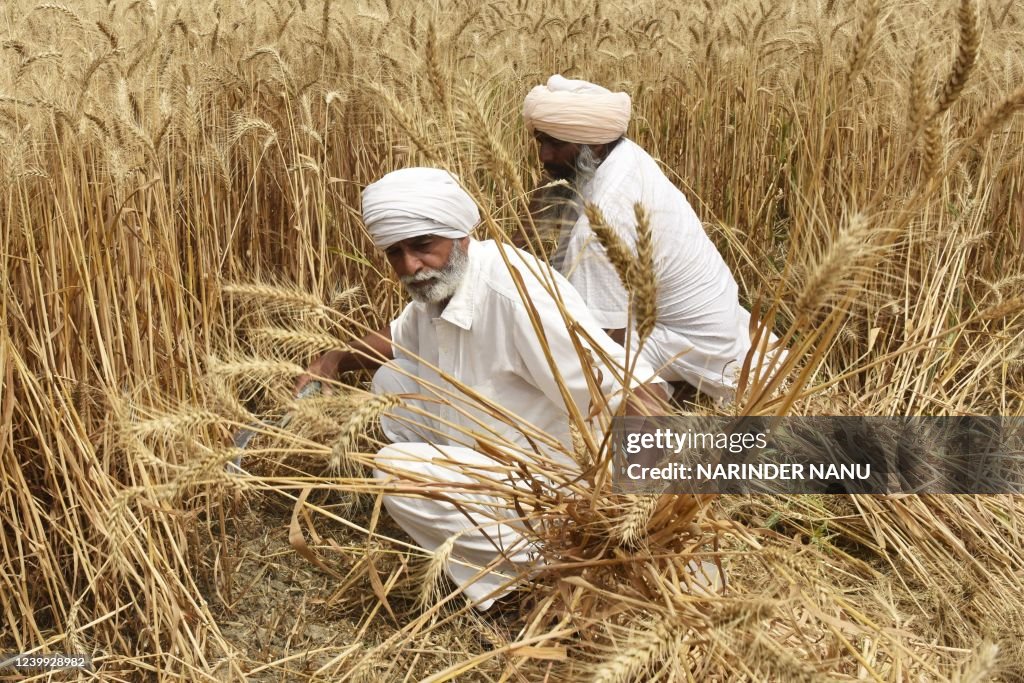 INDIA-ECONOMY-AGRICULTURE