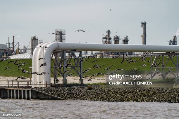 Port facilities of the DOW Chemical Company, a global leader in the chemical business, are pictured at the industrial harbour of Stade, on the river...