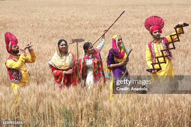 Indian youngsters wearing traditional Punjabi attire perform folk dances of Punjab on the eve of Baisakhi, the festival of harvest, in a wheat farm,...