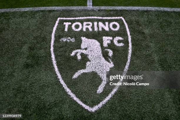 Torino FC crest drawn on the pitch is seen prior to the Serie A football match between Torino FC and AC Milan. The match ended 0-0 tie.