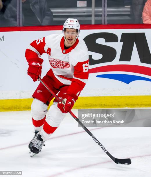 Danny DeKeyser of the Detroit Red Wings keeps an eye on the play during third period action against the Winnipeg Jets at Canada Life Centre on April...