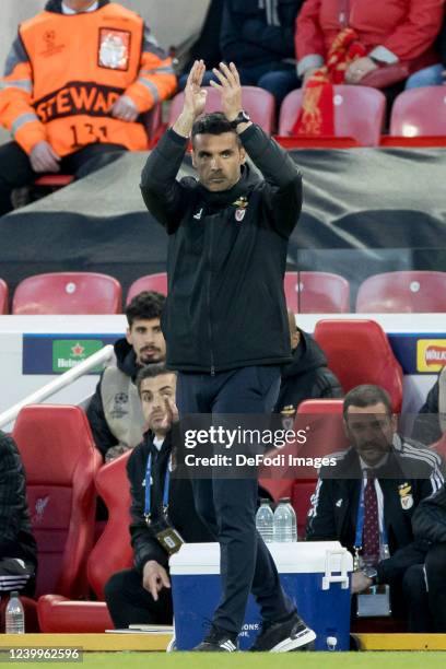 Head coach Nelson Verissimo of SL Benfica gestures during the UEFA Champions League Quarter Final Leg Two match between Liverpool FC and SL Benfica...