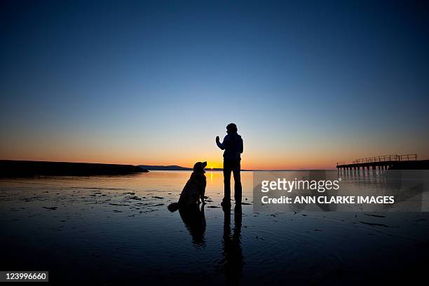 man playing with dog - south australia beach stock pictures, royalty-free photos & images