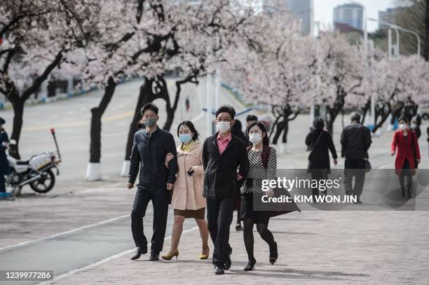 In this photo taken on April 13 pedestrians walk past cherry blossom trees near the Arch of Triumph in Pyongyang.