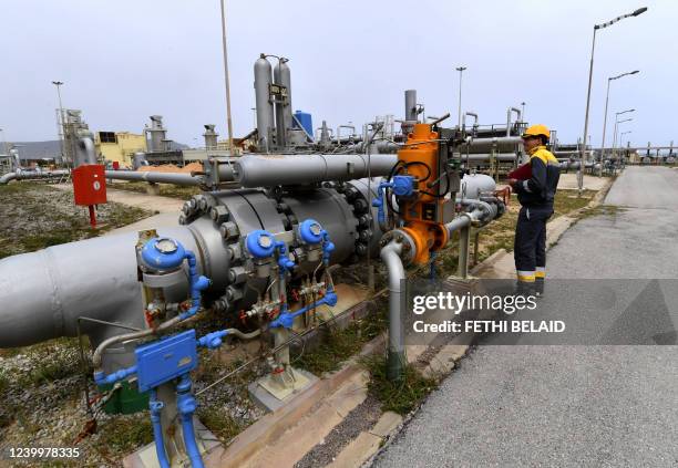 An employee works at the Tunisian Sergaz company, that controls the Tunisian segment of the Trans-Mediterranean pipeline, through which natural gas...
