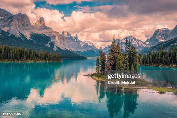 the tranquil landscape of spirit island in summer, maligne lake, jasper national park, alberta, canada - lago maligne foto e immagini stock