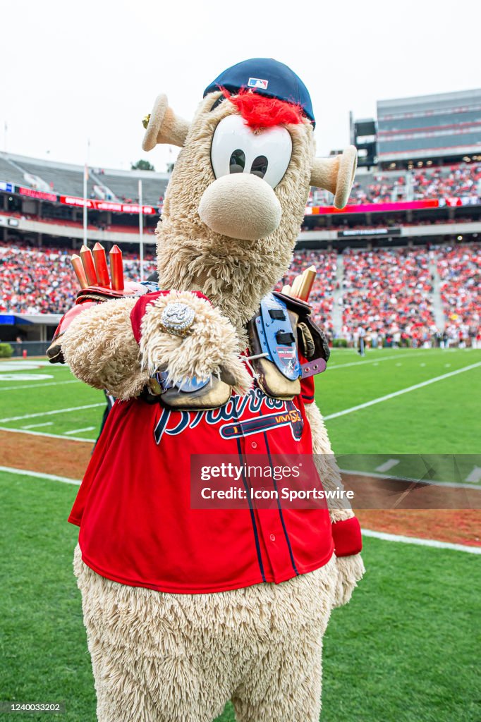 Fanart) Blooper (Atlanta Braves mascot) by BaxterKangaroo -- Fur