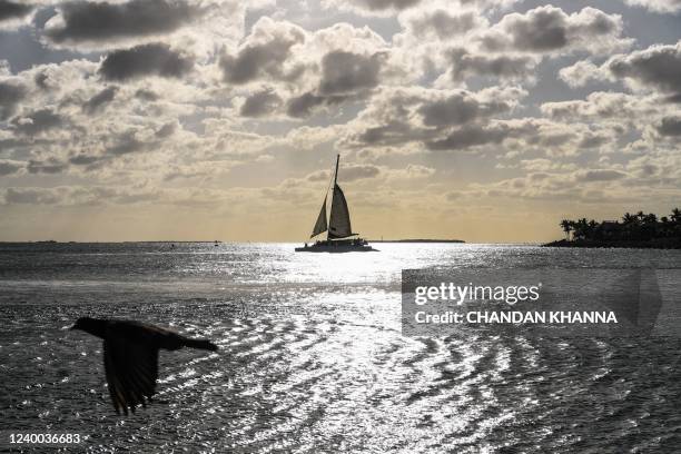 6,811 Cayo Hueso Photos and Premium High Res Pictures - Getty Images 6,811 Cayo Hueso Photos and Premium High Res Pictures - Getty Images