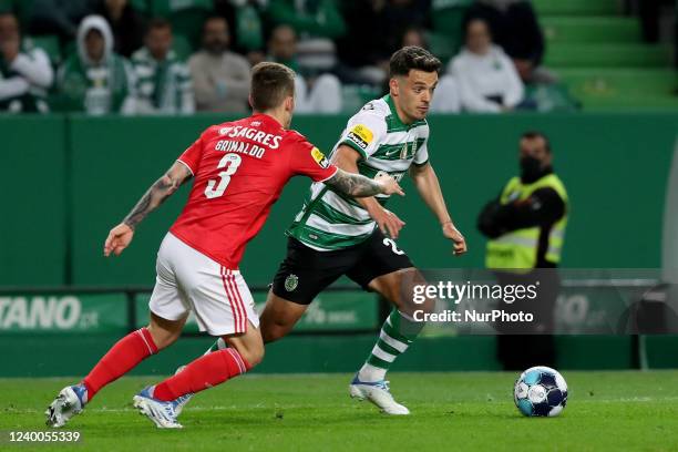 Pedro Goncalves of Sporting CP vies with Alejandro Grimaldo of SL Benfica during the Portuguese League football match between Sporting CP and SL...