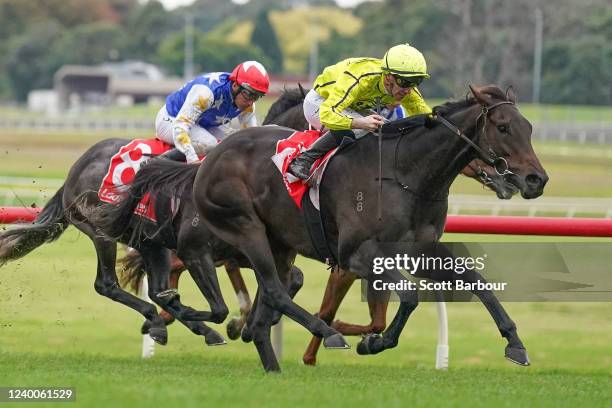 Detonator Jack ridden by John Allen wins the Ladbrokes Mega Multi Handicap at Ladbrokes Park Lakeside Racecourse on April 18, 2022 in Springvale,...