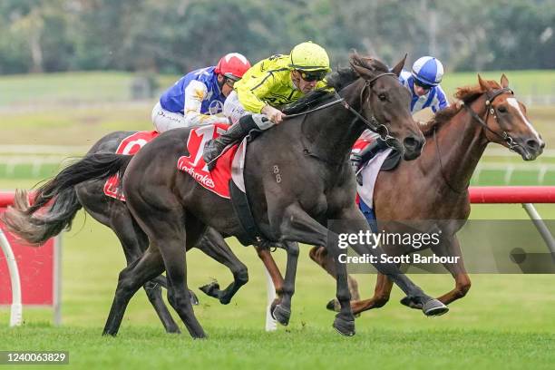 Detonator Jack ridden by John Allen wins the Ladbrokes Mega Multi Handicap at Ladbrokes Park Lakeside Racecourse on April 18, 2022 in Springvale,...