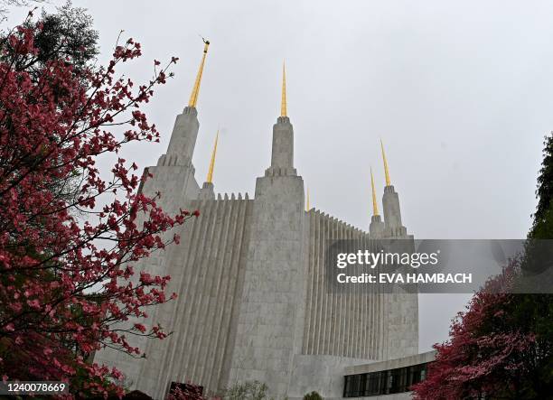 View of the temple of the Church of Jesus Christ of Latter-Day Saints with its six spires in Kensington, Maryland, near Washington, DC, April 18,...